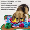 Pawsome Toyz Snuffle Mat